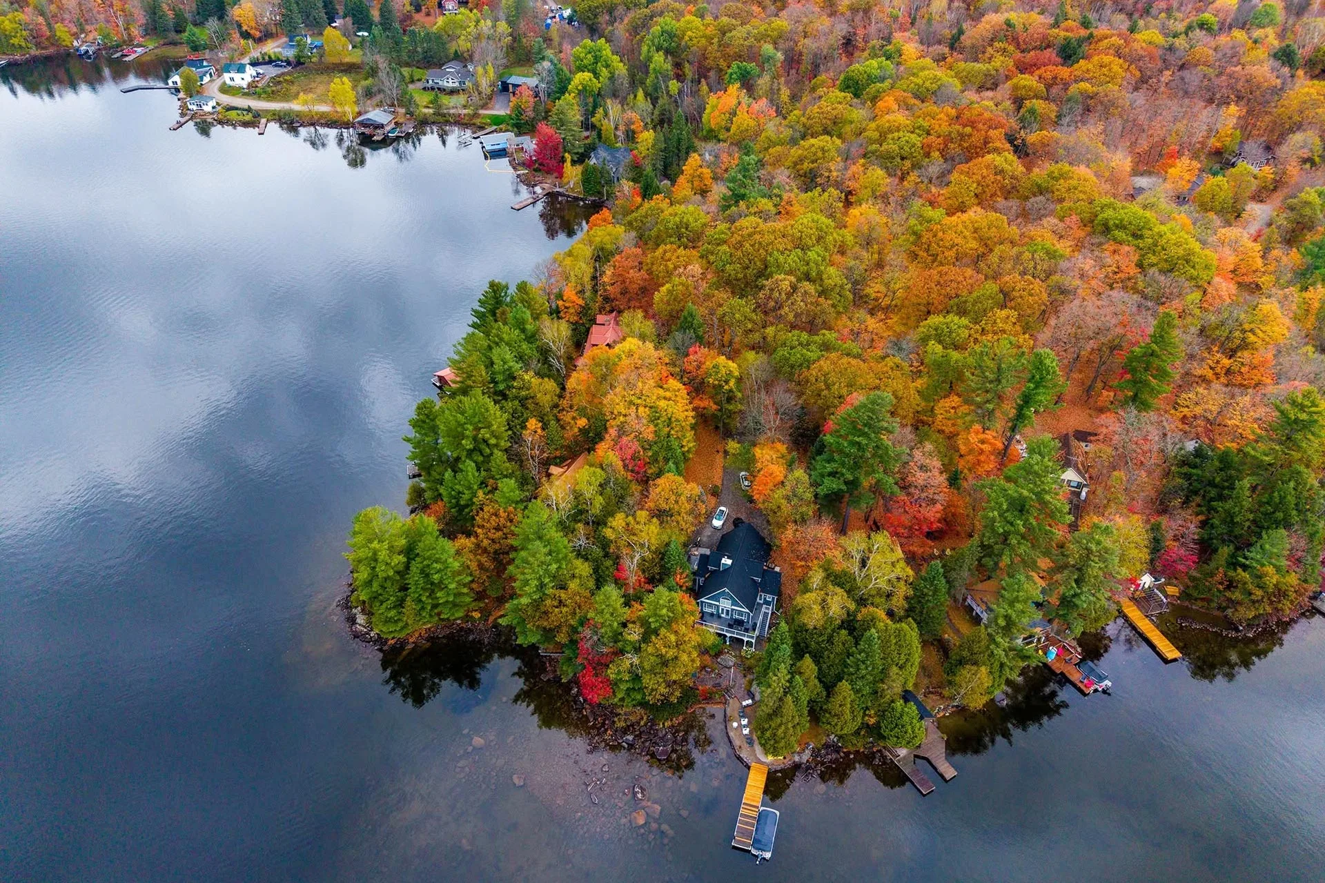 Fall Colors