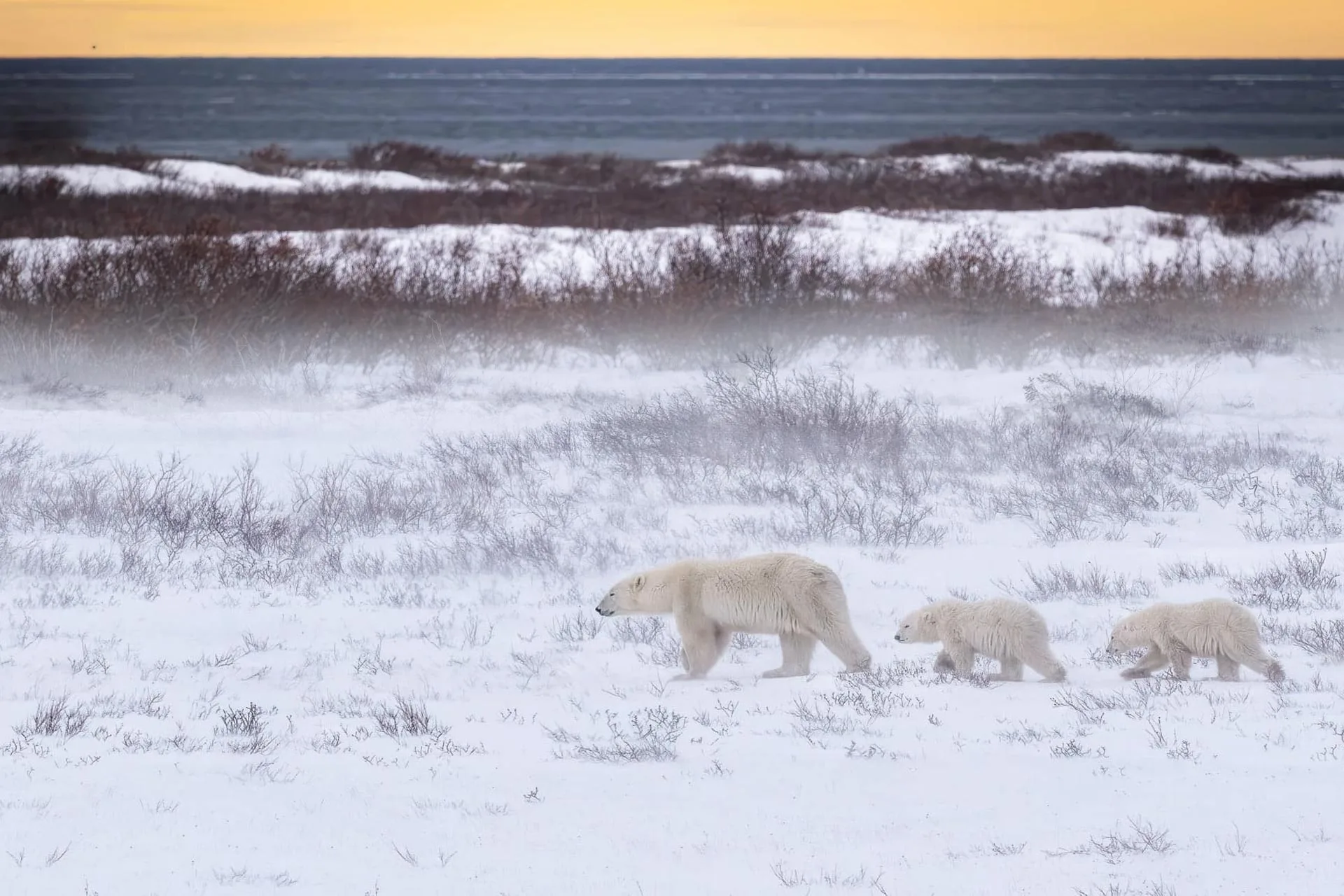 Manitoba Adventure — 15 Outdoor Adventures in Manitoba